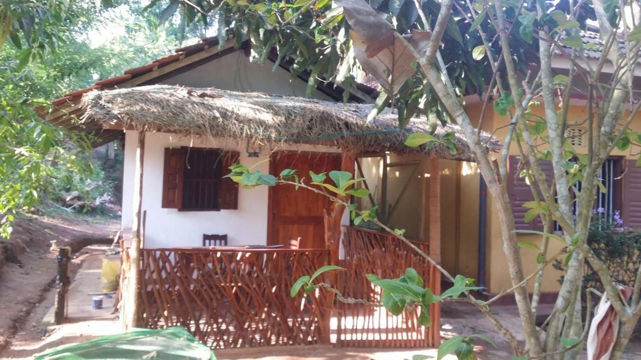 Mango Shade Hotel Dickwella Exterior photo