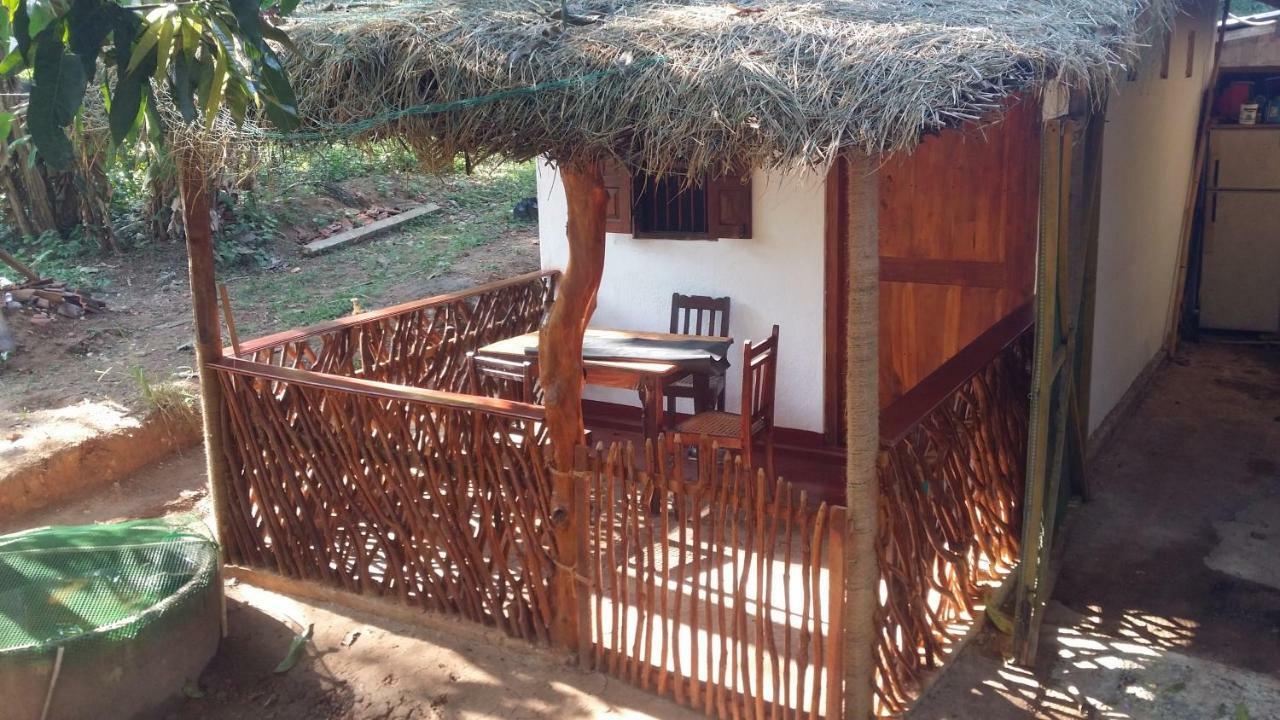 Mango Shade Hotel Dickwella Exterior photo